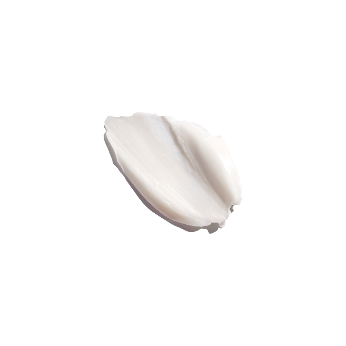 large-GINSENG POWER TEXTURE 6AA20027